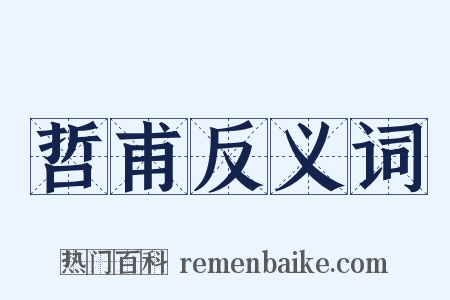 哲甫反义词是什么意思的图片